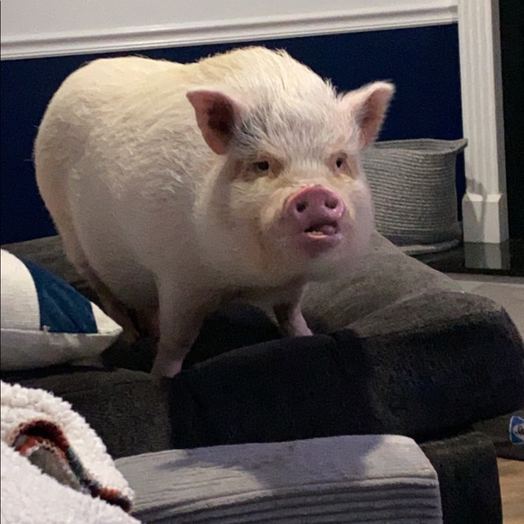 Why I Posh - Picture 13 of 16